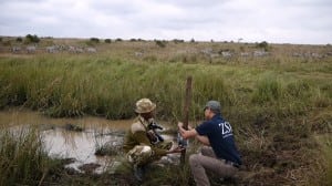 Satellite Technology Helps Save and Identify Endangered Animals in Africa