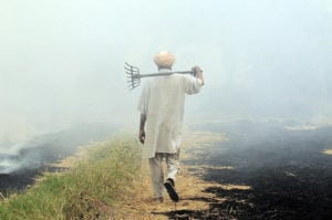 Can Satellites Solve the Farmer Suicide Crisis in India?