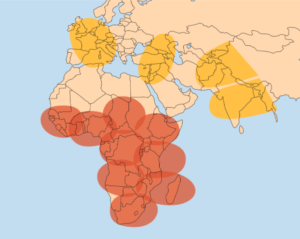 Amos 17 C-band coverage over Africa. Photo: Spacecom.