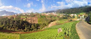 Quetzaltenango farm highlands in Guatemala. Photo: Wikimedia.