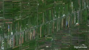 Bangkok, Thailand, October 14, 2014. Photo: DigitalGlobe