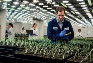 At Indigo Ag’s Charlestown headquarters, technicians track plant growth. Photo: Jim Harrison/Harvard Magazine