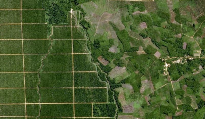 Airbus Signs Another Agricultural Data Partner - Via Satellite