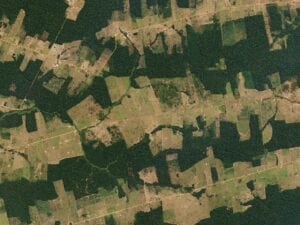 Norway's Public-Private Partnership Shows How Satellite Can Fight Deforestation